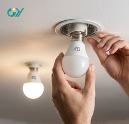 Home Maintenance
